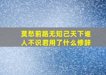 莫愁前路无知己天下谁人不识君用了什么修辞