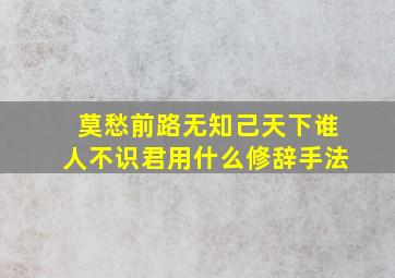 莫愁前路无知己天下谁人不识君用什么修辞手法