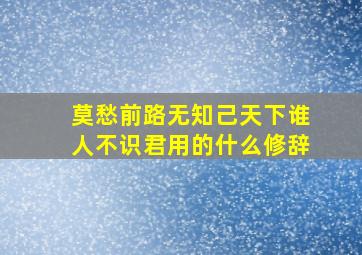 莫愁前路无知己天下谁人不识君用的什么修辞