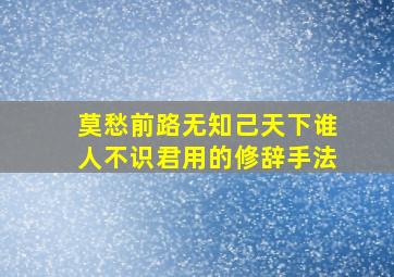 莫愁前路无知己天下谁人不识君用的修辞手法