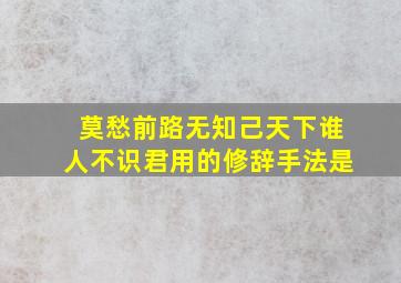 莫愁前路无知己天下谁人不识君用的修辞手法是