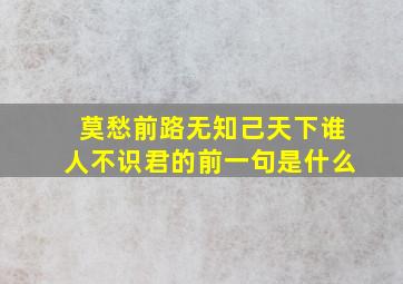 莫愁前路无知己天下谁人不识君的前一句是什么