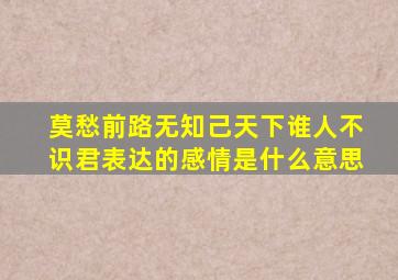 莫愁前路无知己天下谁人不识君表达的感情是什么意思