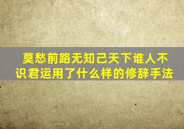 莫愁前路无知己天下谁人不识君运用了什么样的修辞手法