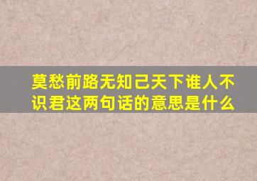 莫愁前路无知己天下谁人不识君这两句话的意思是什么