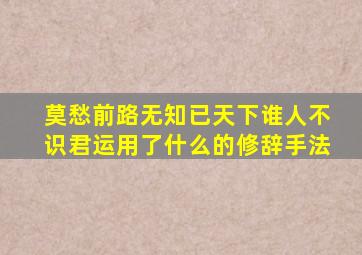 莫愁前路无知已天下谁人不识君运用了什么的修辞手法