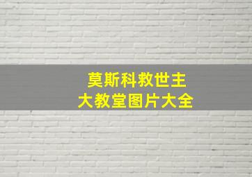 莫斯科救世主大教堂图片大全