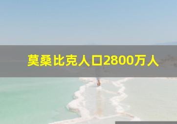 莫桑比克人口2800万人