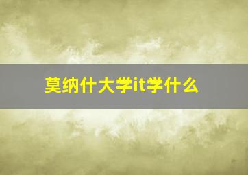 莫纳什大学it学什么