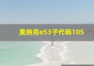 莫纳克e53子代码105