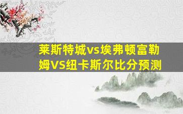 莱斯特城vs埃弗顿富勒姆VS纽卡斯尔比分预测