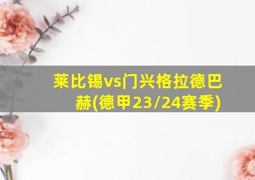 莱比锡vs门兴格拉德巴赫(德甲23/24赛季)