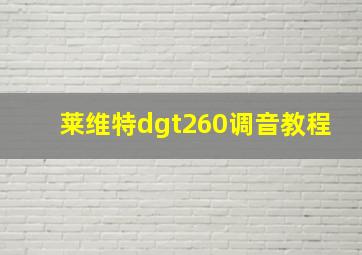 莱维特dgt260调音教程