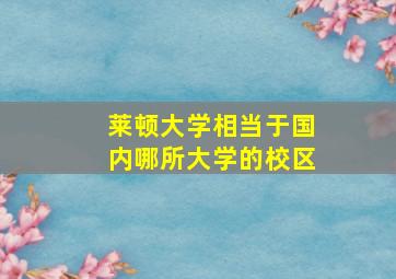 莱顿大学相当于国内哪所大学的校区