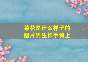 菜花是什么样子的图片男生长手臂上