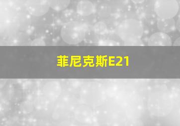 菲尼克斯E21