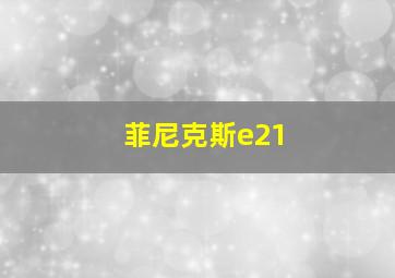 菲尼克斯e21