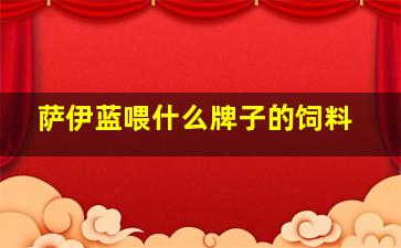 萨伊蓝喂什么牌子的饲料