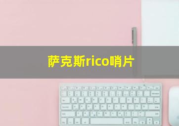 萨克斯rico哨片