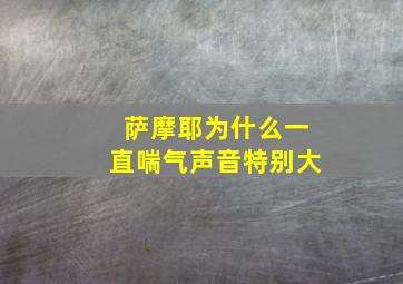 萨摩耶为什么一直喘气声音特别大