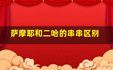 萨摩耶和二哈的串串区别