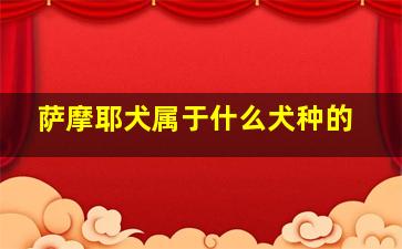 萨摩耶犬属于什么犬种的