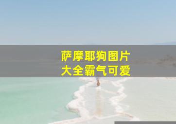 萨摩耶狗图片大全霸气可爱