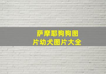 萨摩耶狗狗图片幼犬图片大全