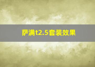 萨满t2.5套装效果