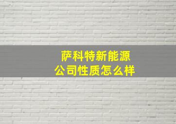 萨科特新能源公司性质怎么样