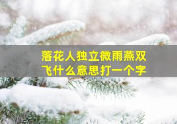 落花人独立微雨燕双飞什么意思打一个字