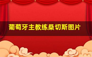 葡萄牙主教练桑切斯图片