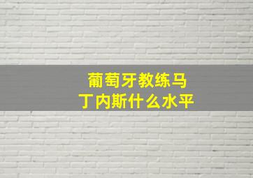 葡萄牙教练马丁内斯什么水平