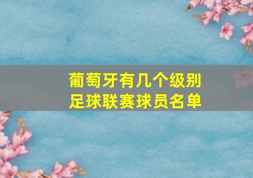 葡萄牙有几个级别足球联赛球员名单