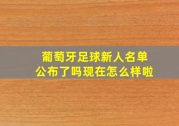 葡萄牙足球新人名单公布了吗现在怎么样啦