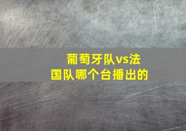 葡萄牙队vs法国队哪个台播出的