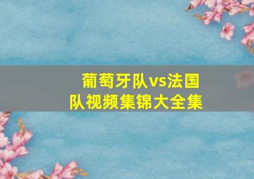 葡萄牙队vs法国队视频集锦大全集