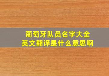 葡萄牙队员名字大全英文翻译是什么意思啊