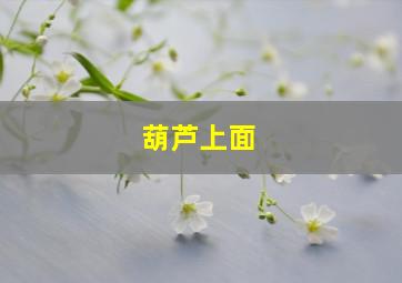 葫芦上面