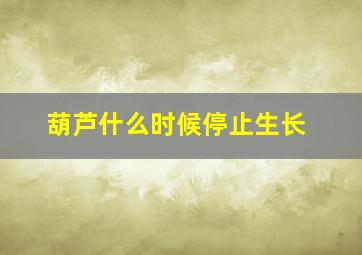 葫芦什么时候停止生长