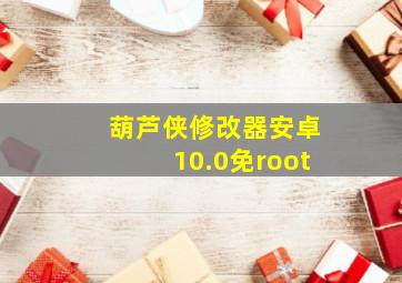 葫芦侠修改器安卓10.0免root