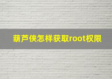 葫芦侠怎样获取root权限