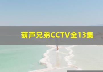 葫芦兄弟CCTV全13集