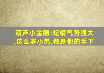 葫芦小金刚:蛇精气势强大,这么多小弟,都是他的手下