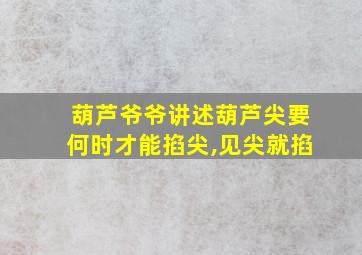 葫芦爷爷讲述葫芦尖要何时才能掐尖,见尖就掐