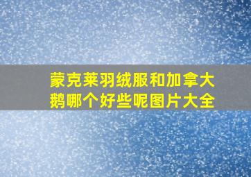 蒙克莱羽绒服和加拿大鹅哪个好些呢图片大全