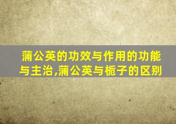 蒲公英的功效与作用的功能与主治,蒲公英与栀子的区别