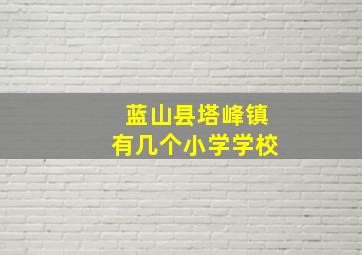 蓝山县塔峰镇有几个小学学校