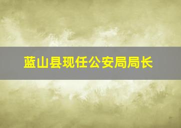 蓝山县现任公安局局长