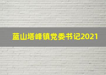 蓝山塔峰镇党委书记2021